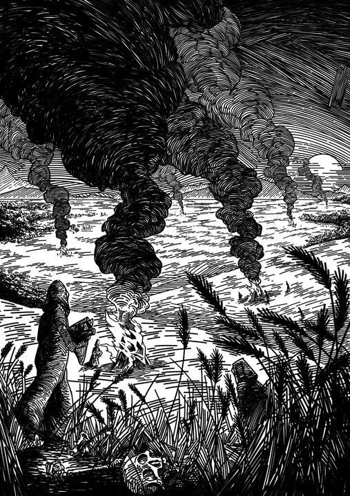 Fields of Ontor