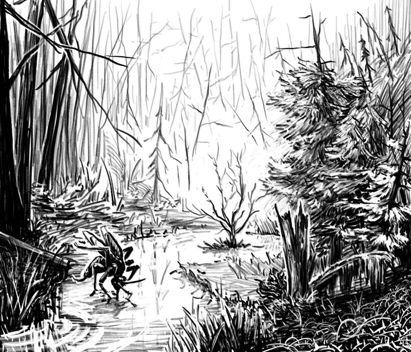 Once Emerald Forests