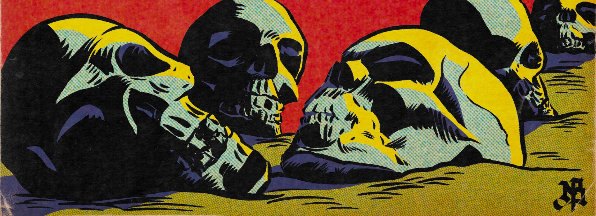 Skull Banner
