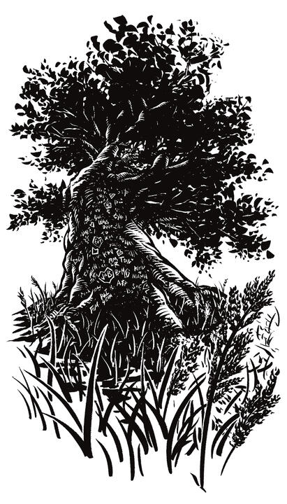 Lover's Tree Lover's Tree